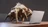 Scavenger-bug's avatar