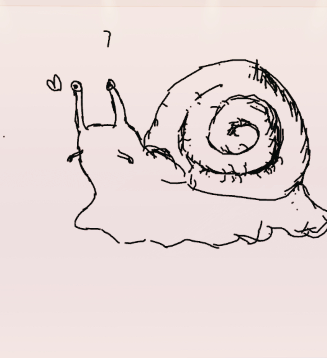 how to draw snail in speed draw｜TikTok Search