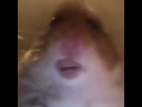 All Posts By Rrku1 Fandom