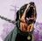 Bdog7210's avatar