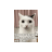 Pawsome Len's avatar