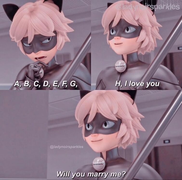 Title: AWW!!! Adrien is now part of the Marinette fan club!, Miraculous  ladybug anime, Miraculous ladybug memes, Miraculous ladybug comic