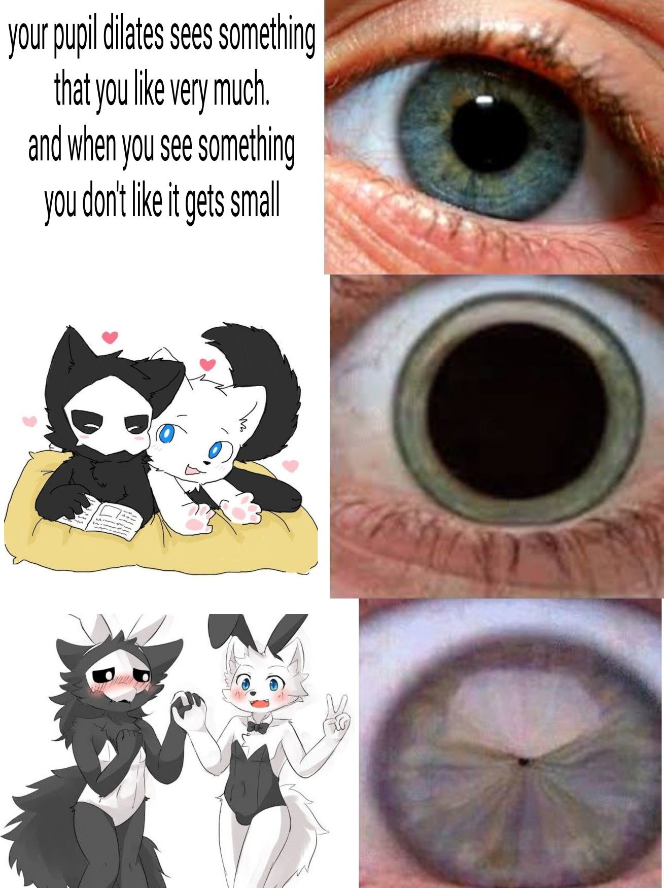 This Wednesday Meme Changed Everything! - 8ylg3pb