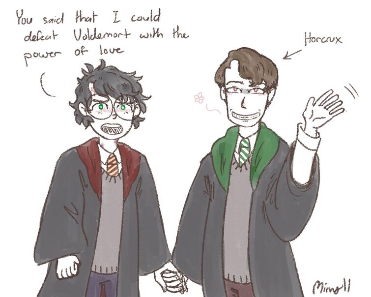 tom riddle and harry potter