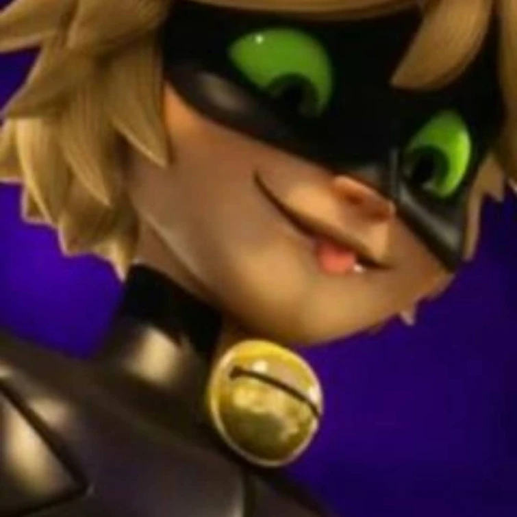 Put Funny Pictures Of Cat Noir On This Post Fandom