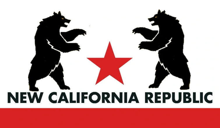 My Take On The Ncr Flag Fandom