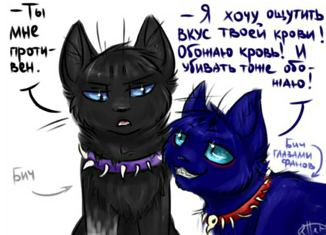 Коты воители новогодние мемы коты воители приколы и мемы . Page 2 Wattpad