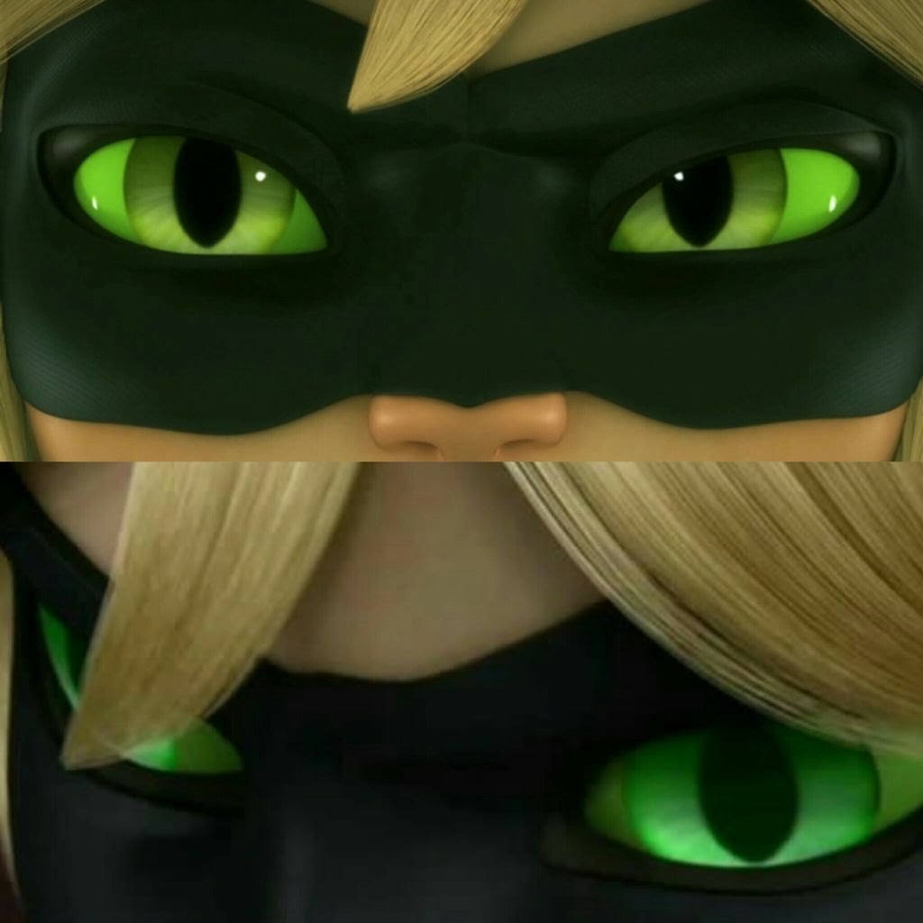 Chat noir pretty please eyes