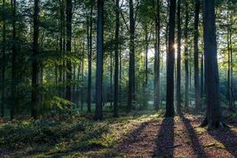 GettyImages-1273584292-cbcd5f85f4c646d58f7a7fa158dcaaeb