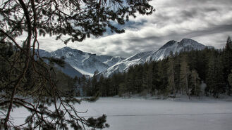 Static-assets-upload2967335166366032247.jpg (68 KB) Winter