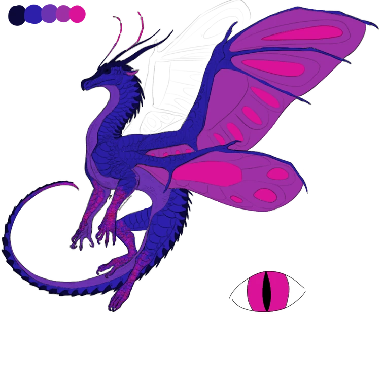 Silkwing adopts! Fandom