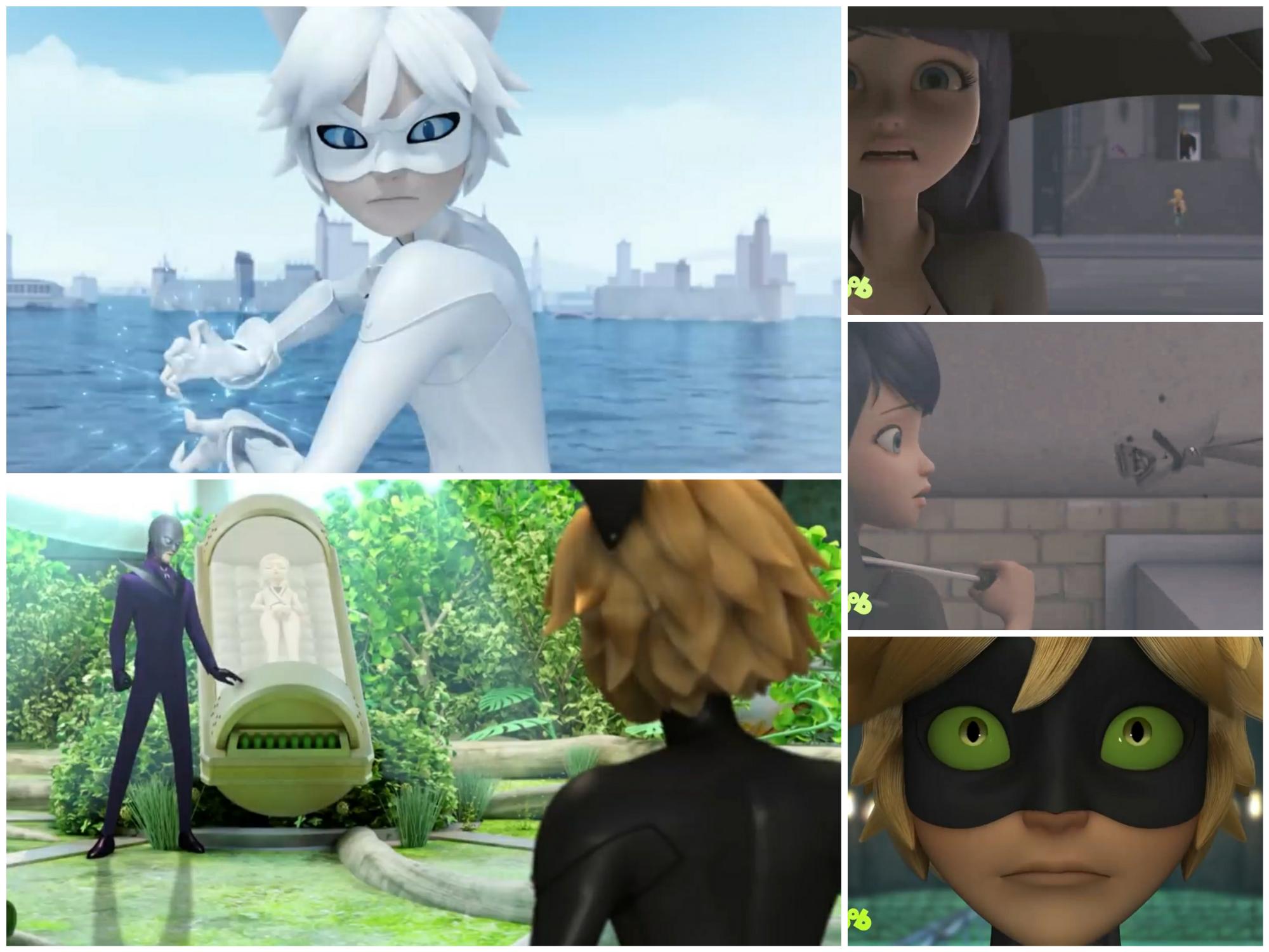 cat blanc spoilers fandom miraculous ladybug wiki fandom