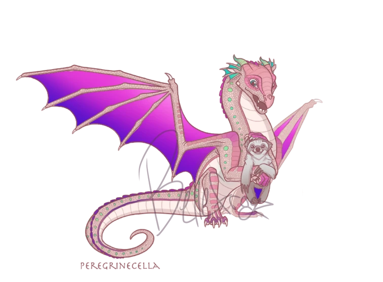 rainwing-dragonet-adopt-raffle-fandom