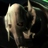 Solmonster, the Daily Phantom's avatar