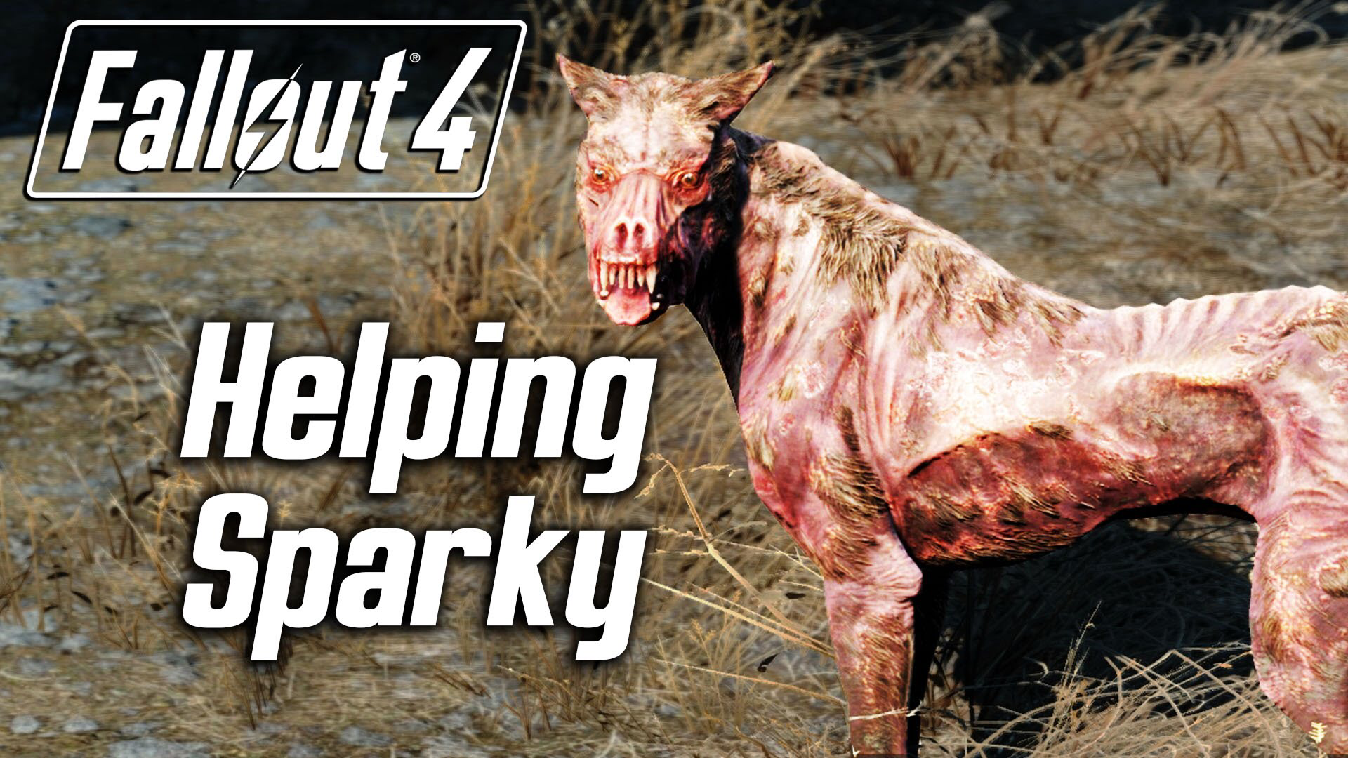 Fallout 4 раненая собака спарки фото 1