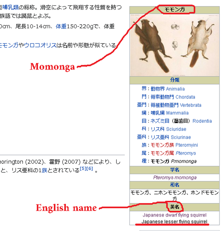 The Meaning Of Momonga S Name Fandom