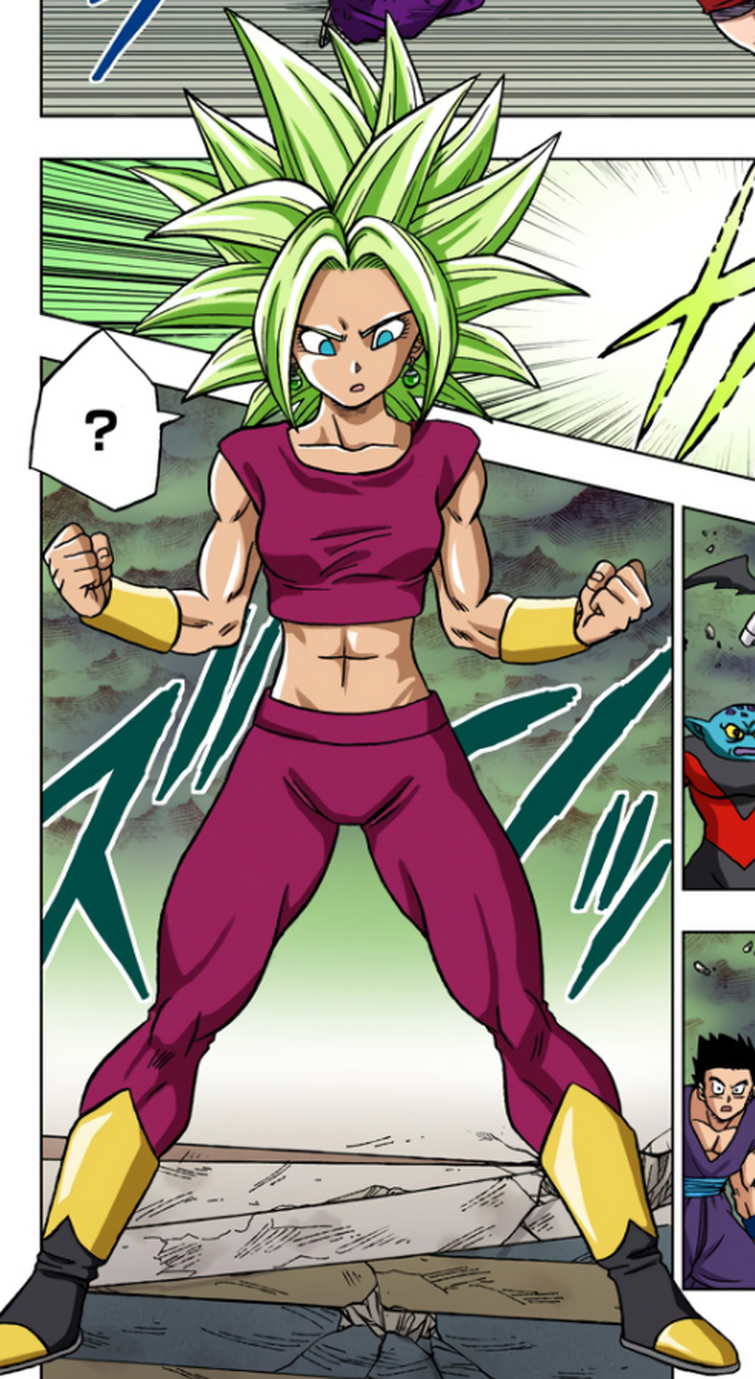 The Kale + Caulifla tag team concept! | Fandom