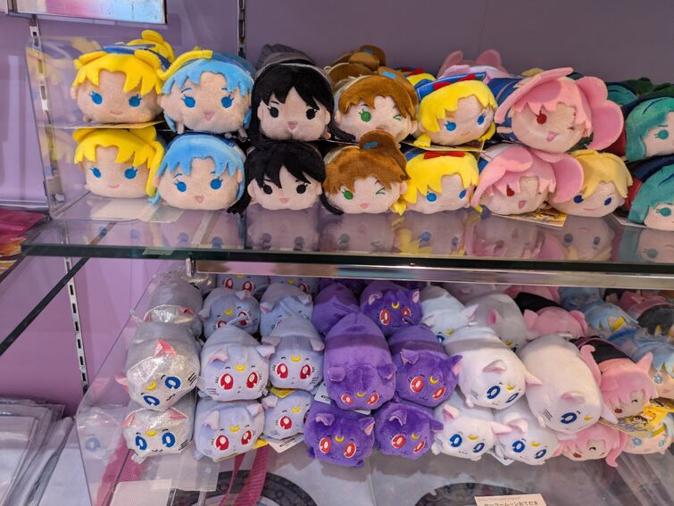 Fandom Image