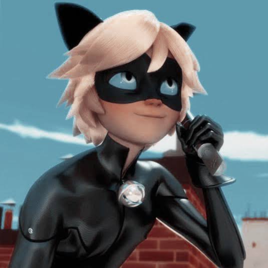 Download Miraculously Aesthetic Pt.2 (Cat Noir) | Fandom