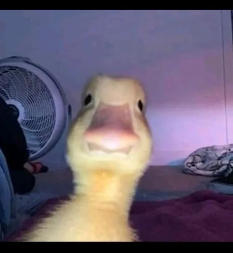 Scout from TF2 comes up to you and says “hey, we both got buckets of