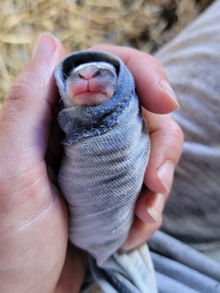 I,m so bored rn | Fandom