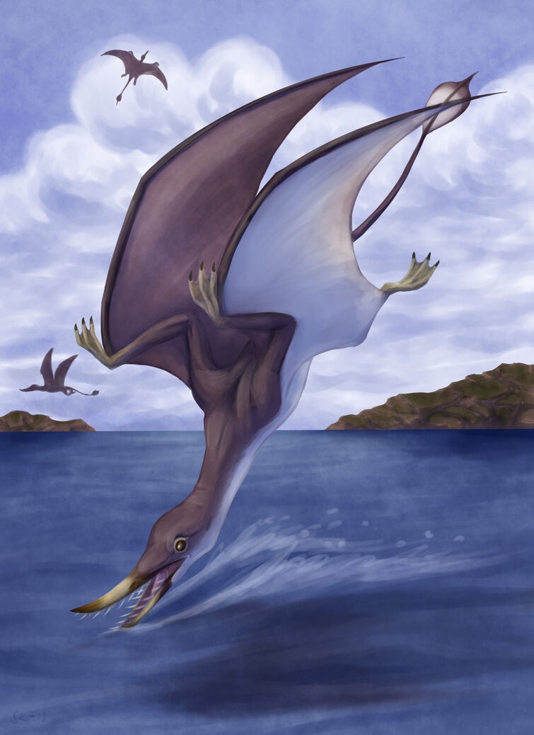 Life on the ocean wave wasn't easy for pterosaurs, Science