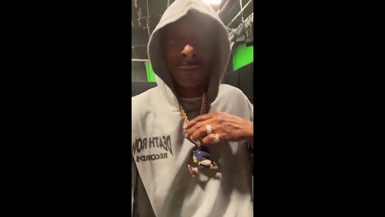 Snoop Dogg rocking a Sonic chain Fandom