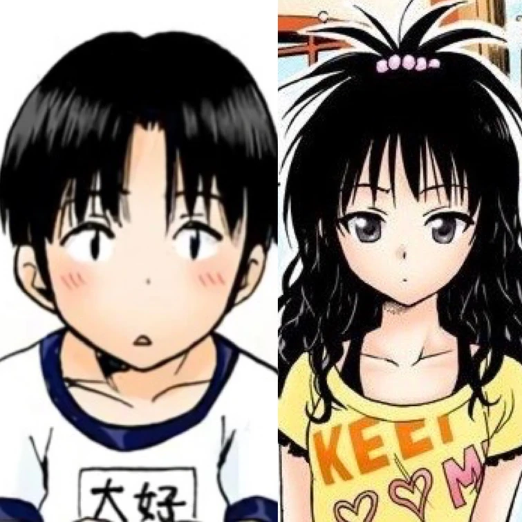 Fandom Image