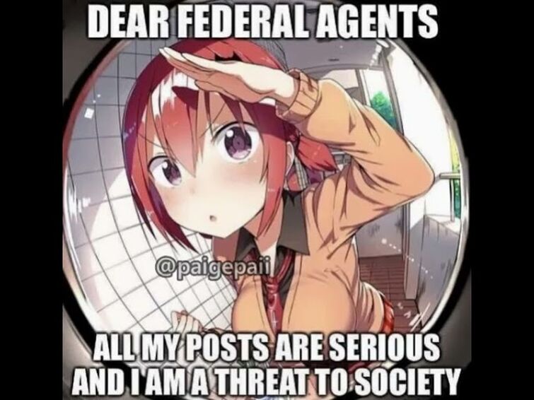  Federal Bureau of Memes