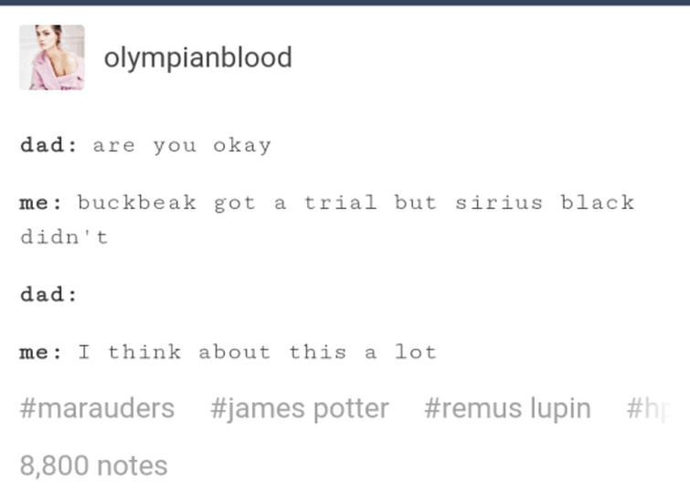Marauders Headcanons | Fandom