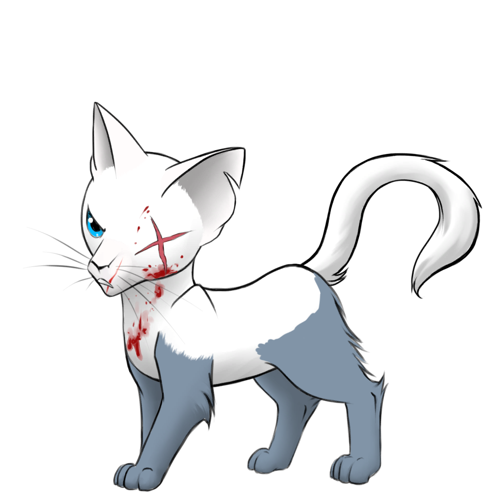 White cat skin