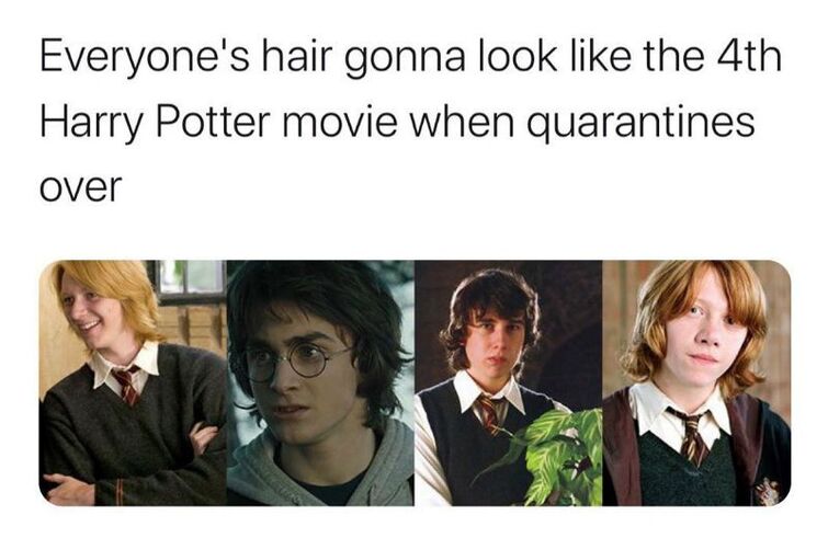 Harry Potter Memes Part 4 