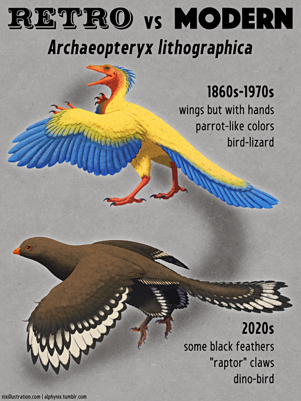 【原画】Archaeopteryx don't know the kimono. 原画】Archaeopteryx don´t know the kimono.