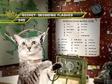 Card 345: Decoding Flashes