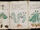 Voynich Manuscript (170).jpg