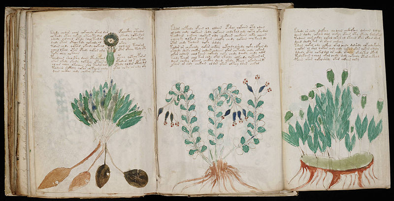 ヴォイニッチ手稿　the Voynich Manuscript The Voynich Manuscript revealed: five things you probably