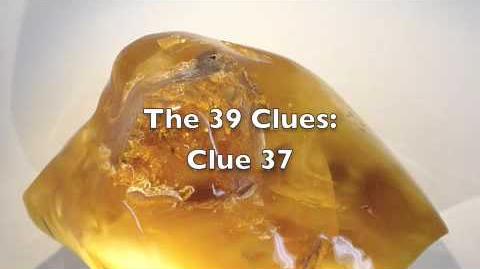 The 39 Clues Clue 37