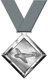 DogfightSilver