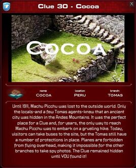 Cocoa