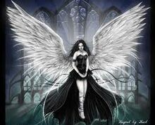 Dark Angel