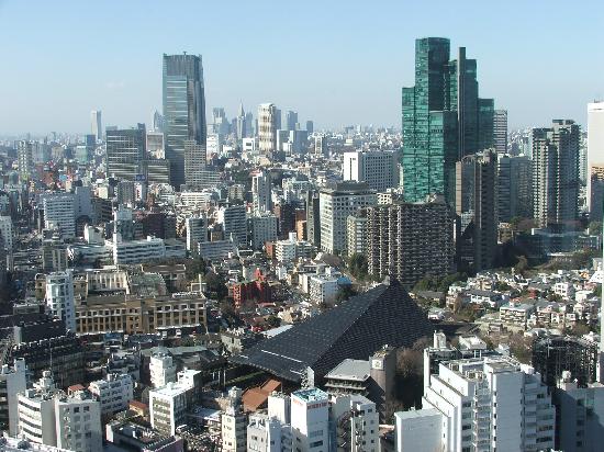 Tokyo from tower.jpg