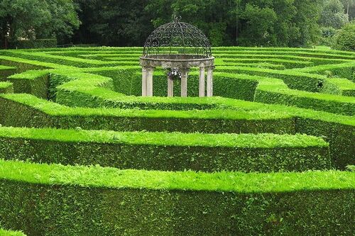 Alistair Hedge Maze