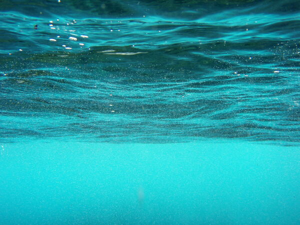 Underwater.jpg