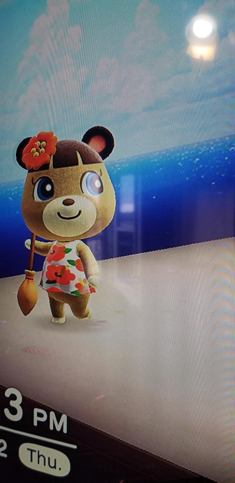 Discuss Everything About Animal Crossing Wiki Fandom