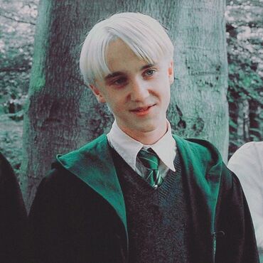 Favorite Draco Preference Personality Wise Not Looks Fandom