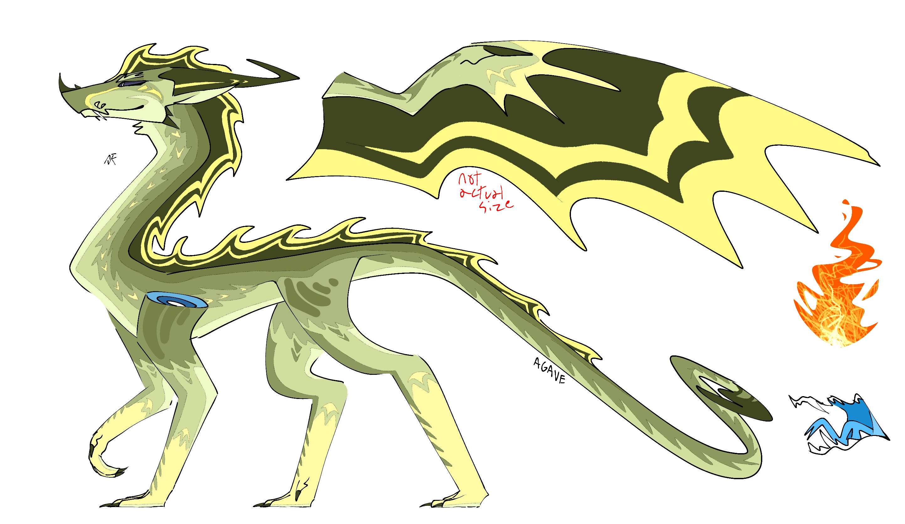 Agave design | Fandom