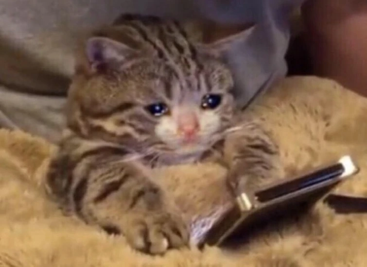 My Friend Is Won Of The Luckiest Da Players W Fandom