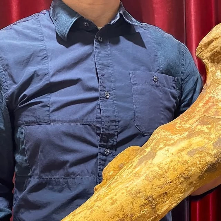 Fossil Collector奇斯 🇭🇰｜Dinosaur｜Collection｜恐龍｜化石｜收藏 🦖 on Instagram: "Femur, Spinosaurus 棘龍 股骨 Should I target a complete leg next? 🤩 It’s the largest single bone in my collection 🦕🦖  70cm and 18kg🔥 I can’t believe to own a bone of this size and qu...
