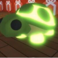 Guess The Name Of Neon Turtle And The First Person To Get It Right Wins The Turtle Fandom - turtle adopt me roblox