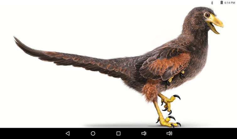 here's a novosaur who is ferocious predator